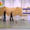 Boker Tov Olam – בוקר טוב עולם