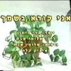 Ani Koreh Bishmech – אני קורא בשמך